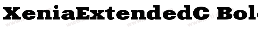 XeniaExtendedC Bold字体转换